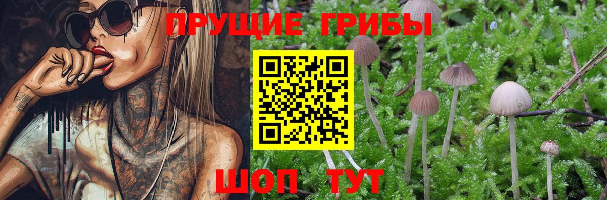 Галлюциногенные грибы ЛСД Асино