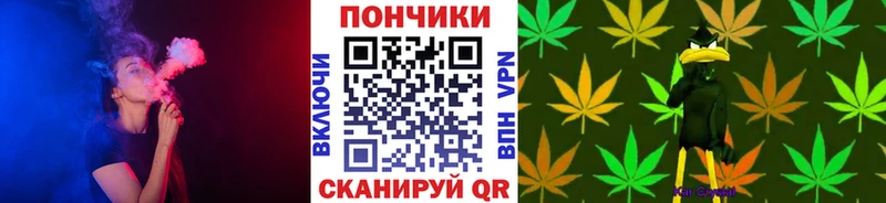 дарнет шоп  Асино  Конопля марихуана 